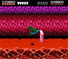 battle-toads