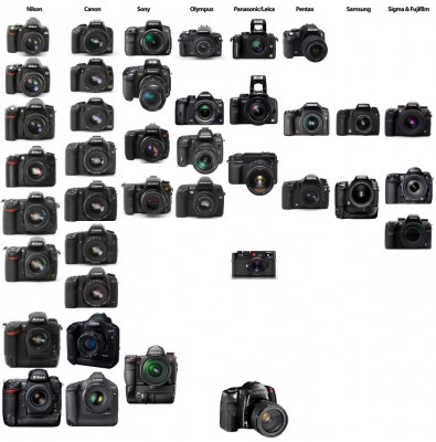 dslrs